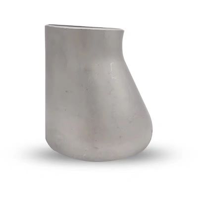 WZ SS304 SS316L Pijpbevestigingen SCH10 SCH40 Excentrische reducer voor reductiecouplage