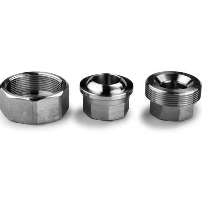 Gelijk gesmeed roestvrij staal 304 316 316L hogedruk stopcontact lassen Unie 1" DN25