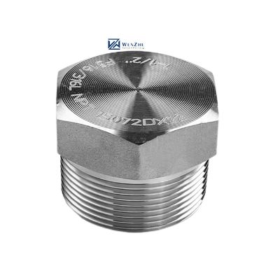 Zilver gesmeed hogedruk NPT Mannelijke Hex Plug voor roestvrij staal 304 316 316L