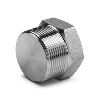 Zilver gesmeed hogedruk NPT Mannelijke Hex Plug voor roestvrij staal 304 316 316L