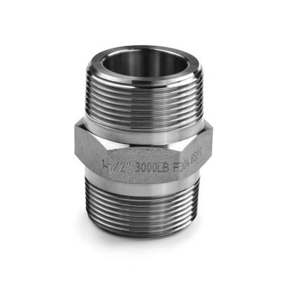SS304 316 316L Hoogdruk gesmeed zeshoekige tepels 300 bar Mannelijke draad gelijk/verminderende tepels