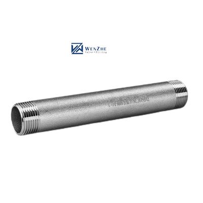 Gesmeed roestvrij staal 304 316 316L Mannelijk naadloos buis Dubbele draad vat Nippel 1" DN25 NPT BSPT