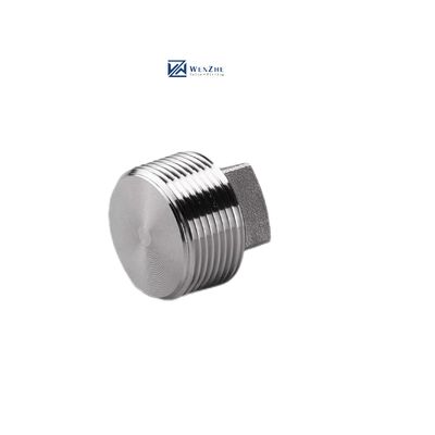 Zilveren bedekte WZ roestvrij staal 304 316 316L Hoogdruk gesmeed vierkant stekker NPT BSPT