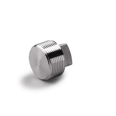 Zilveren bedekte WZ roestvrij staal 304 316 316L Hoogdruk gesmeed vierkant stekker NPT BSPT