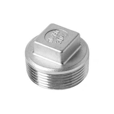 Ruimte Plug Thread Ruimte Plug Schroef Pipe Head Fittings NPT BSP roestvrij staal 201 304