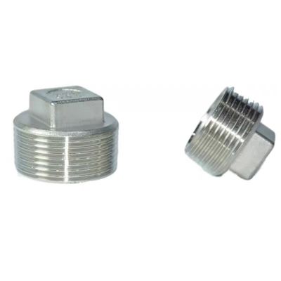 Ruimte Plug Thread Ruimte Plug Schroef Pipe Head Fittings NPT BSP roestvrij staal 201 304