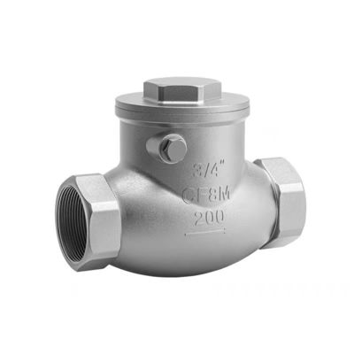 WZ SS 304 316 CF8 CF8M Cylindrische niet-terugkerende schommelklep 200WOG 1/2"-4" gelijk