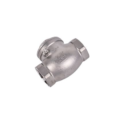 1 inch roestvrij staal H14 checkklep voor water veer swing en air control