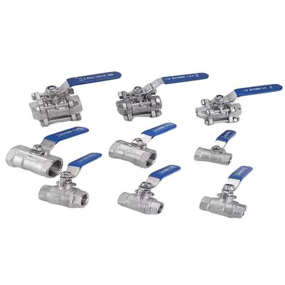 Industriële roestvrij staal 316 2" NPT Vrouwelijke volle poort balklep vinyl handvat WOG1000