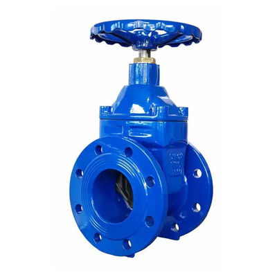 Hexagonale kop PN10 PN16 Soft Seal Flange Ductile Iron Gate Valve