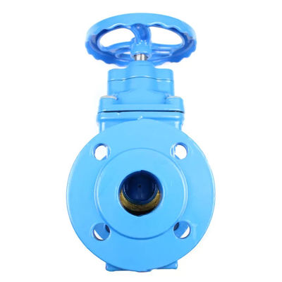 Hexagonale kop PN10 PN16 Soft Seal Flange Ductile Iron Gate Valve