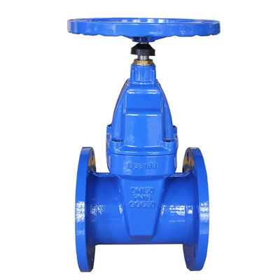 DN150 Waterflenspoortklep PN16 gietijzeren standaard met roestvrij staal 301/304/316