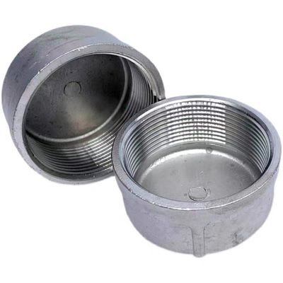 Op maat gemaakte ondersteuning ODM Round End Plug Pipe Fittings voor WZSS 201 304 316 NPT BSP Threaded