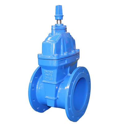 DN150 Waterflenspoortklep PN16 gietijzeren standaard met roestvrij staal 301/304/316