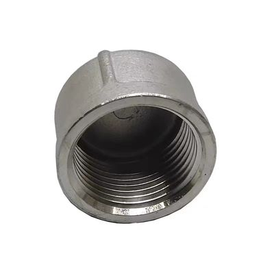Op maat gemaakte ondersteuning ODM Round End Plug Pipe Fittings voor WZSS 201 304 316 NPT BSP Threaded