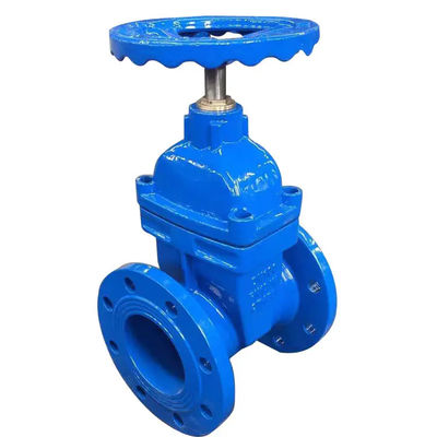 DN150 Waterflenspoortklep PN16 gietijzeren standaard met roestvrij staal 301/304/316