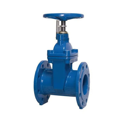 DN150 Waterflenspoortklep PN16 gietijzeren standaard met roestvrij staal 301/304/316