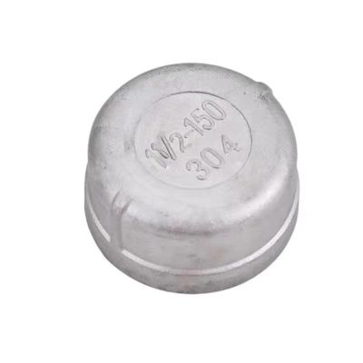 Op maat gemaakte ondersteuning ODM Round End Plug Pipe Fittings voor WZSS 201 304 316 NPT BSP Threaded