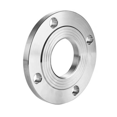 PN6 roestvrij staal 304 316 naadloze ringgewalste flens DIN 3A voor de chemische industrie