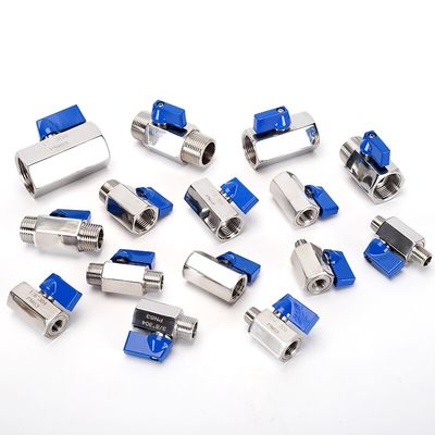 3/4"-12" NPT Vrouwelijk Gedrukt Roestvrij Staal Mini Ball Valve Met Slang Slang Bar