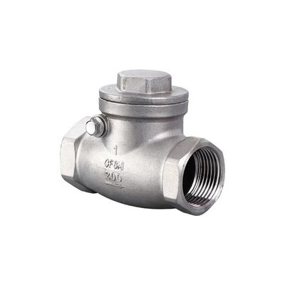 Cylindrische kopcode 316 roestvrij staal 201 304 controleventiel Npt Bsp draad veerbelasting