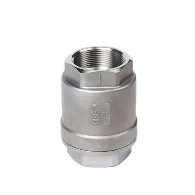 H12W-16P Verticale veercontrole klep voor aangepaste multi-size roestvrijstalen draadpoort