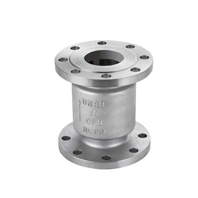 ANSI Swing Non Return Check Valve van roestvrij staal DN 250 mm Pn 16atm L 115 mm Standard