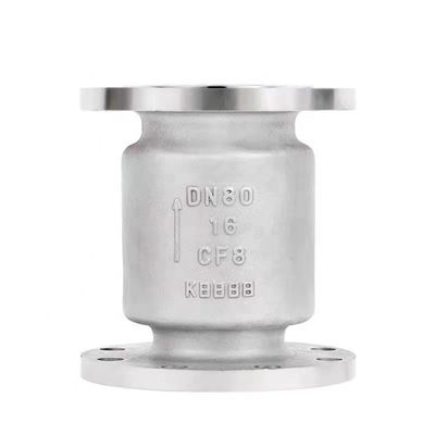 ANSI Swing Non Return Check Valve van roestvrij staal DN 250 mm Pn 16atm L 115 mm Standard