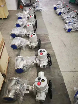 Elektrisch geactiveerde bolklep voor WZ AC220 AC380V 660V gietijzeren besturing