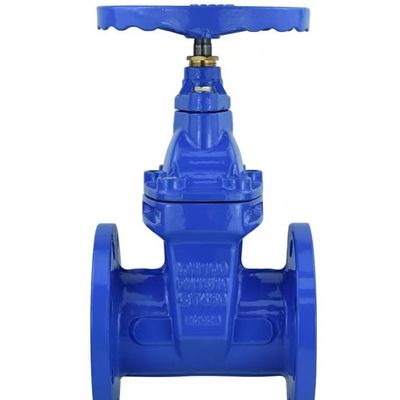 Cylindrische kopcode Custom Casting Steel Manual Valve Ductile Iron Gate Valve