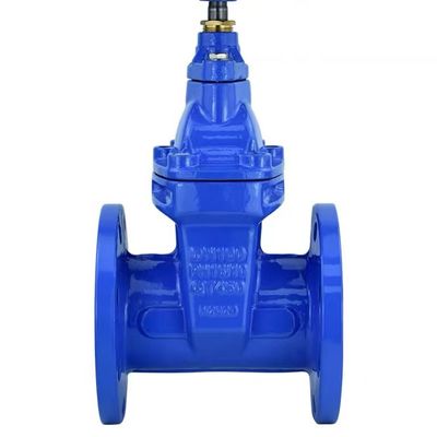 Cylindrische kopcode Custom Casting Steel Manual Valve Ductile Iron Gate Valve