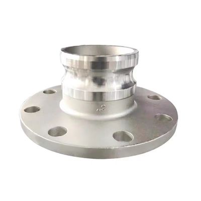 Versatile WZ SS 304 316 F type camlock koppeling met flensafsluiting