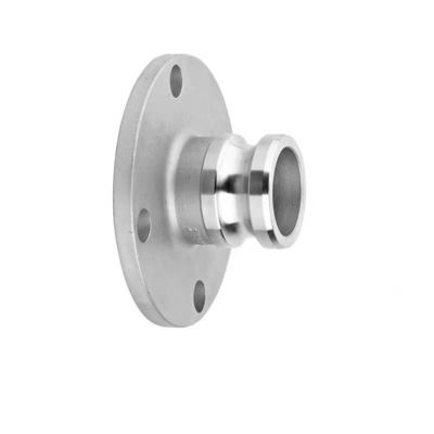 Versatile WZ SS 304 316 F type camlock koppeling met flensafsluiting