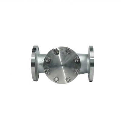 Flanged Lift Check Valve Zilveren roestvrij staal 304 316 316L PN16 PN25 PN40 PN64 PN100