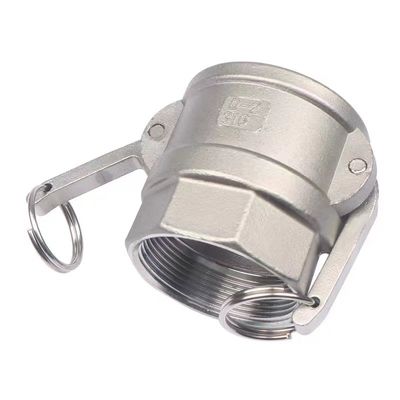 Gelijke SS 304 316 Roestvrij staal camlock koppeling van snel aansluiting type D NPT BSPT BSP